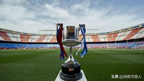 皇马国王杯遭绝杀,皇马庆祝国王杯2011