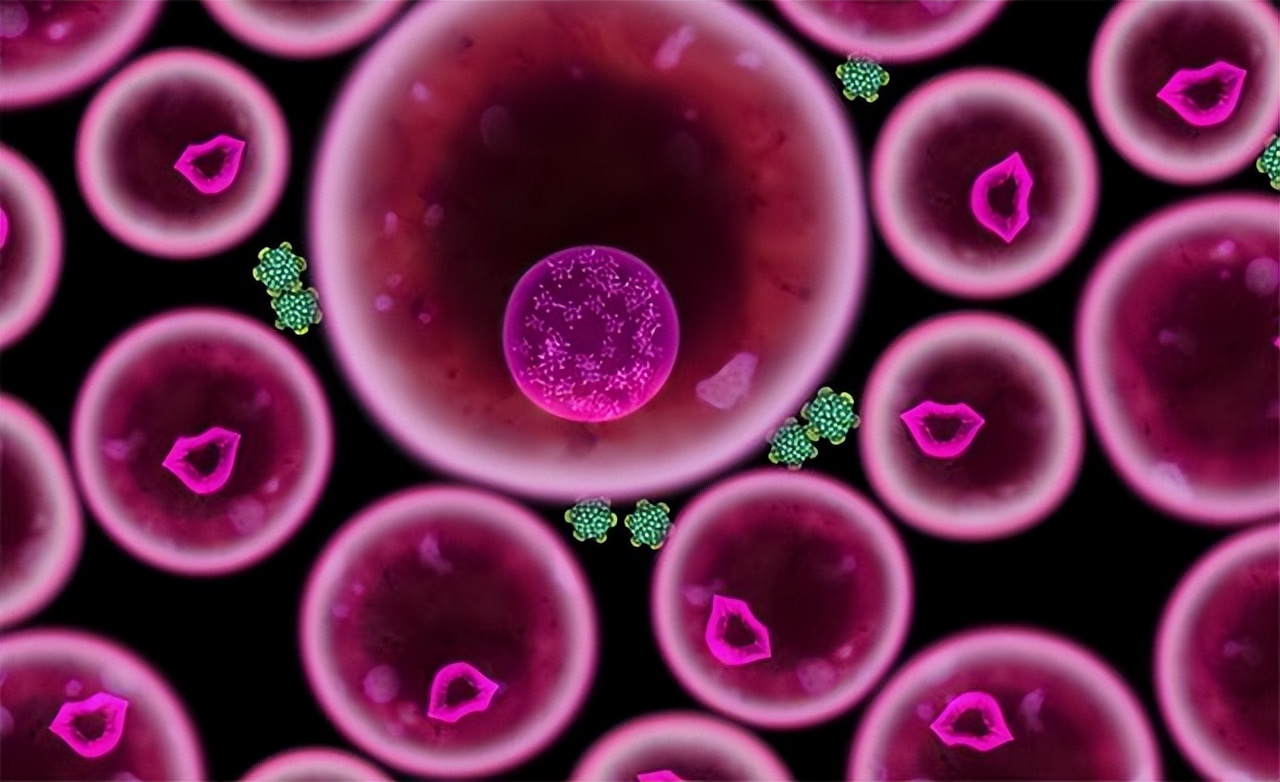 八种性传播疾病及病原体,8种性传播的疾病有哪些