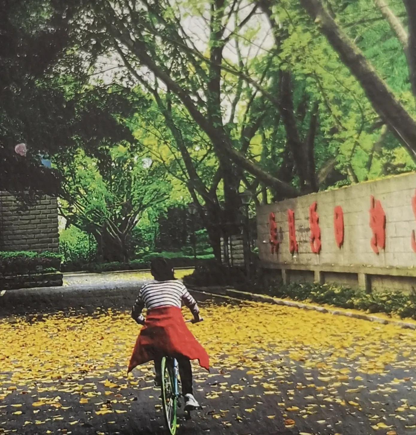 读书抄书打卡第70天,读书抄书打卡第15天