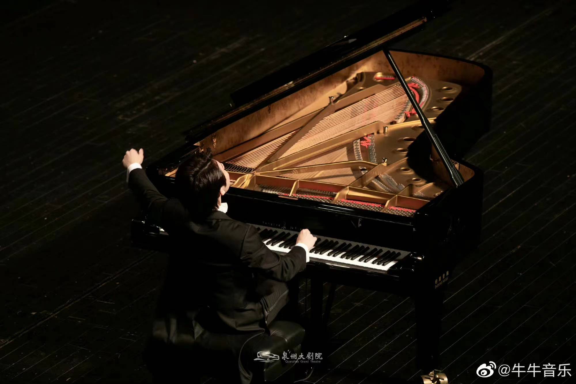 钢琴家牛牛野蜂飞舞,钢琴家牛牛李斯特钢琴改编曲