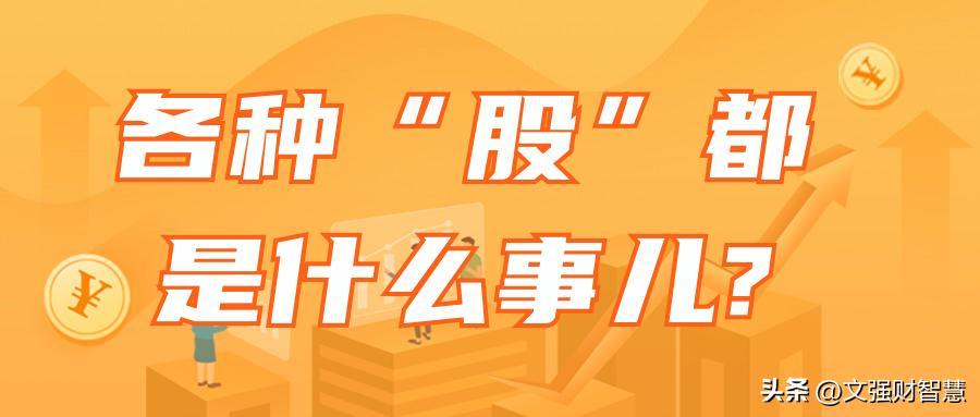 各种股的含义,各种公司的股票性质
