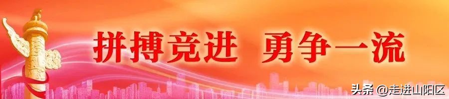 江苏省长杯足球初中组冠军奖牌,江苏省省长杯小学组冠军