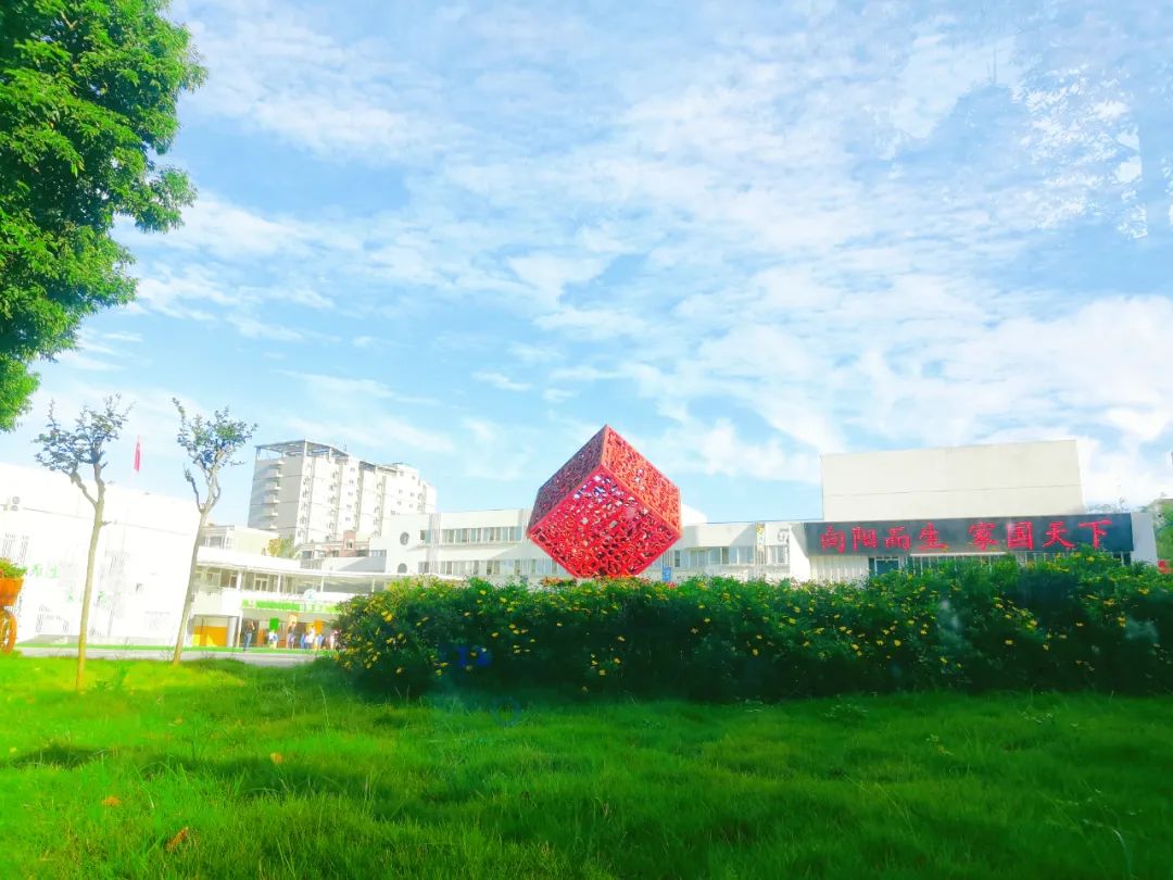 2019年一年级招生简章,2022年公办学校一年级怎么招生