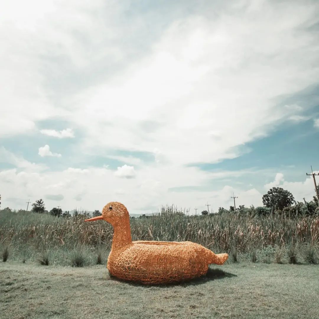 泰国曼谷旅游必去十大景区,泰国野生动物园亲子游