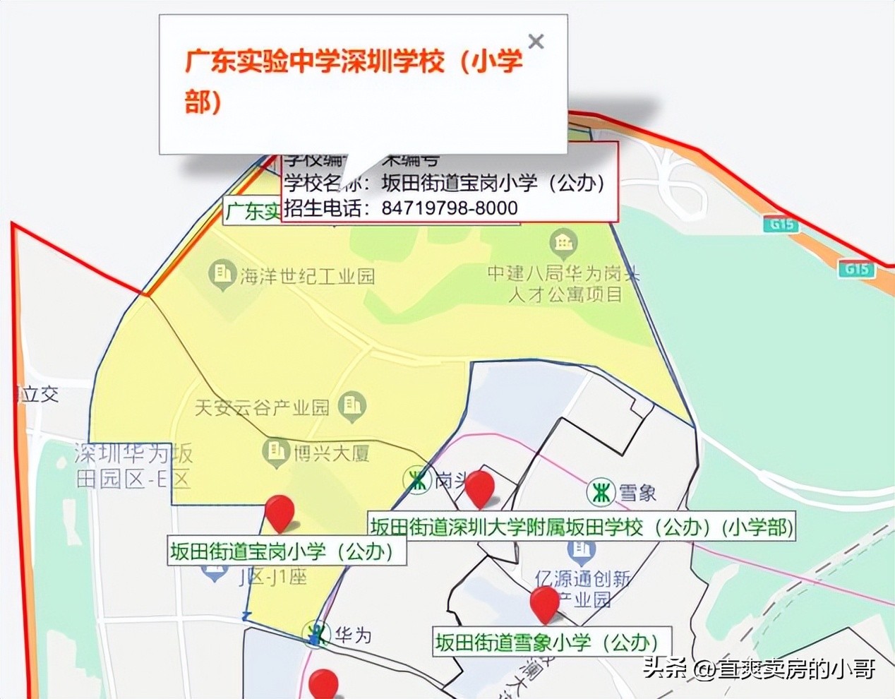 南山区重点小学,南山区重点小学和初中排名