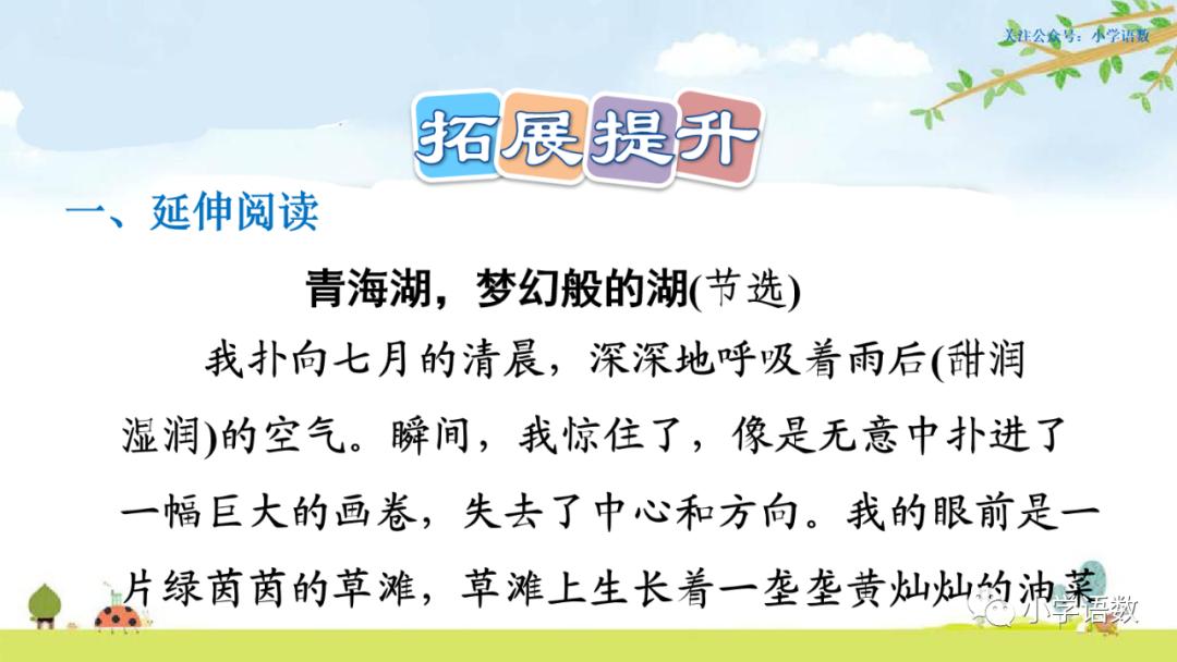 部编版六年级语文课文预习第1课,部编版六年级上册语文书草原预习