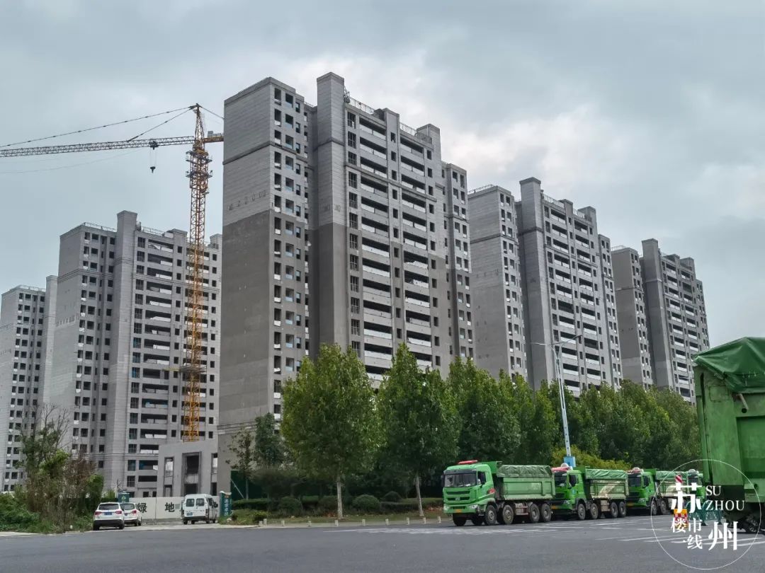 冻资3000组!“笠泽之星”能补回“太泽之星”的面子吗?