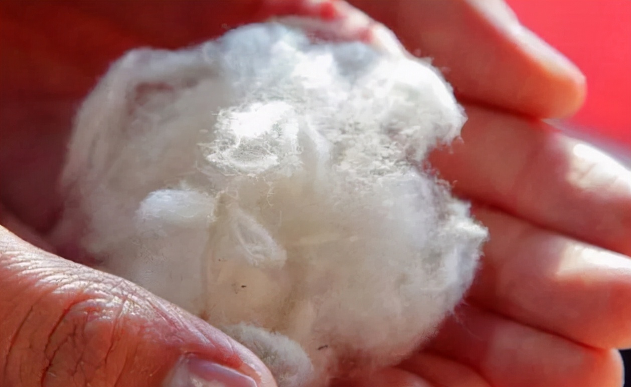 二十多块钱一条的牛仔裤,几十块钱的牛仔裤和100块钱的差别