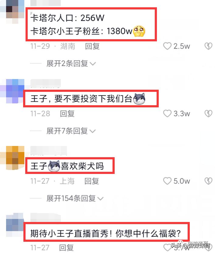 金晨模仿卡塔尔小王子自拍,金晨模仿卡塔尔王子自拍引热议
