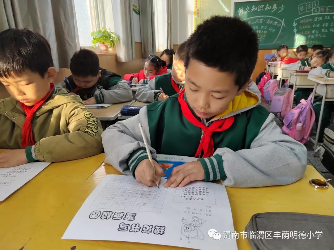 多彩活动齐绽放,多彩活动迎盛会