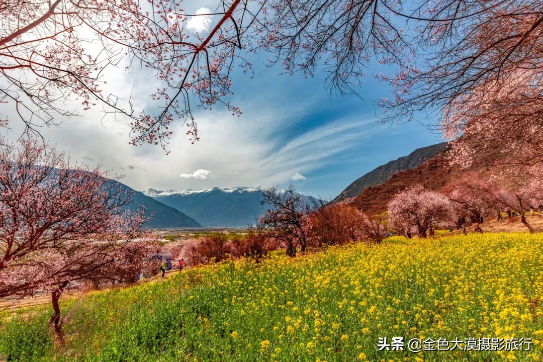 3月份去西藏林芝,3-4月去西藏林芝好玩吗