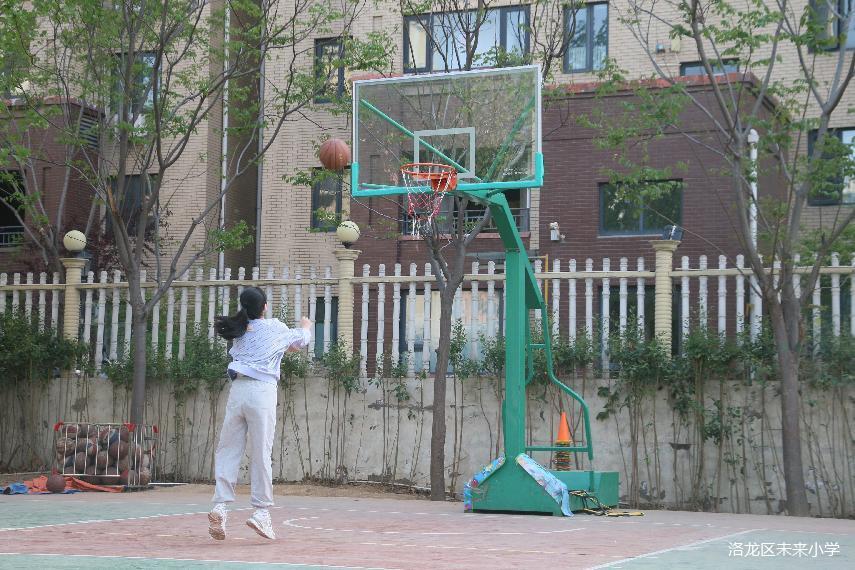 体育无限精彩,体育无处不在运动无极限