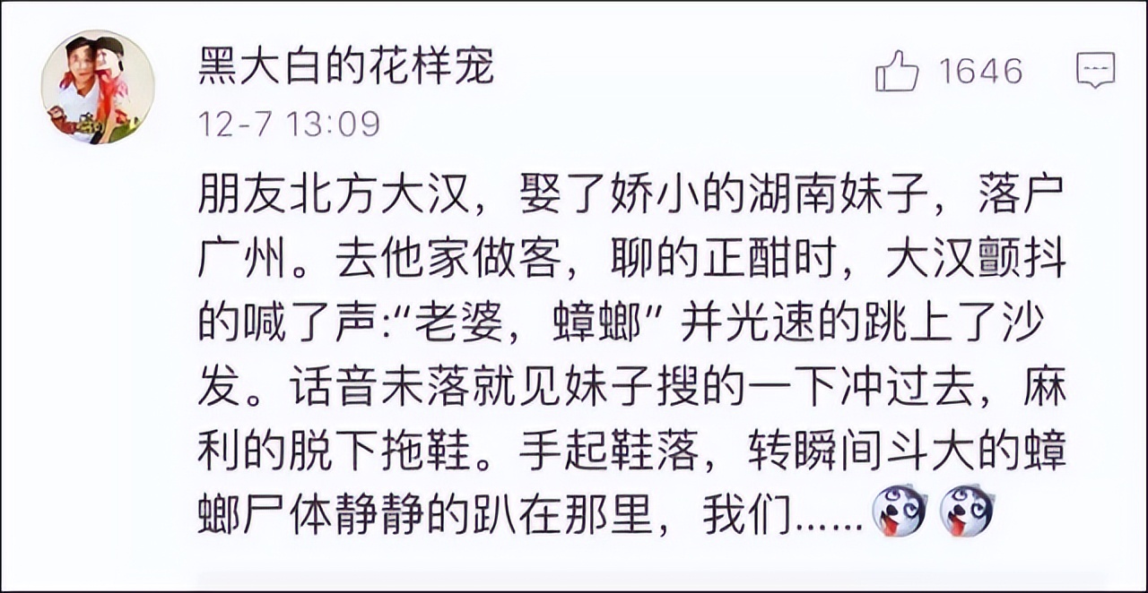 杀死蟑螂的100多个方法,杀死蟑螂的100种办法