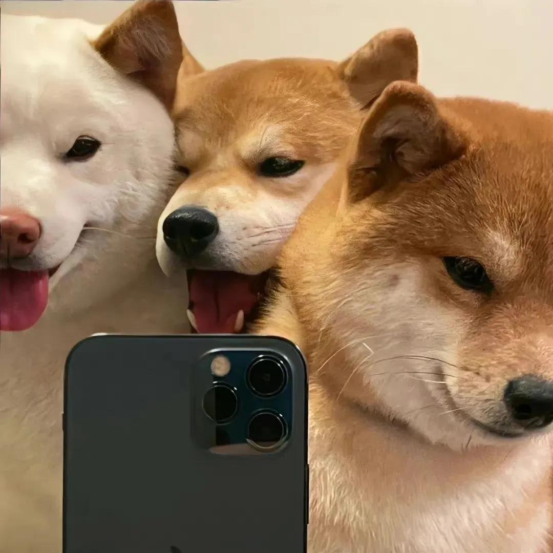 背景图优雅生活,生活随意的背景图高级感