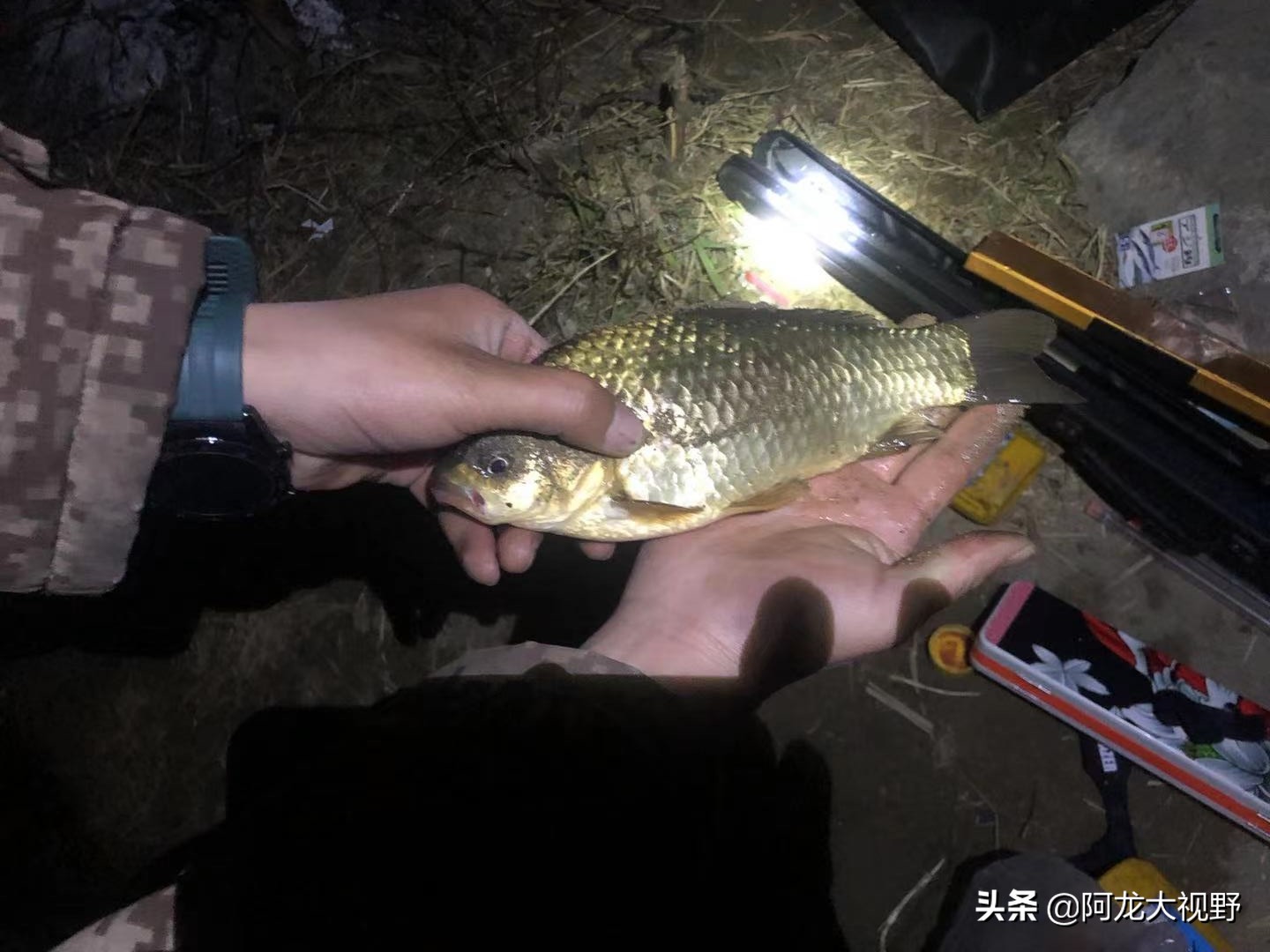 野钓：小河道巧夺大板鲫和黄骨鱼！分析得当，渔获自然少不了