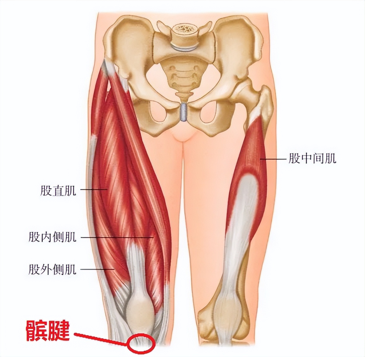 左膝盖前面疼痛警惕四种病,膝盖前面针刺疼痛