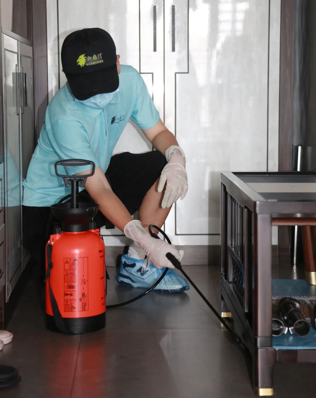 家里有蟑螂怎么处理用什么药,发现蟑螂正确的处理方法