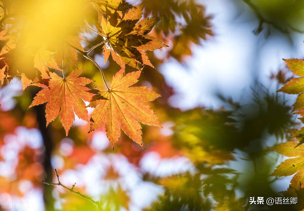 随笔美好的一瞬间,随笔时光匆匆岁月无痕