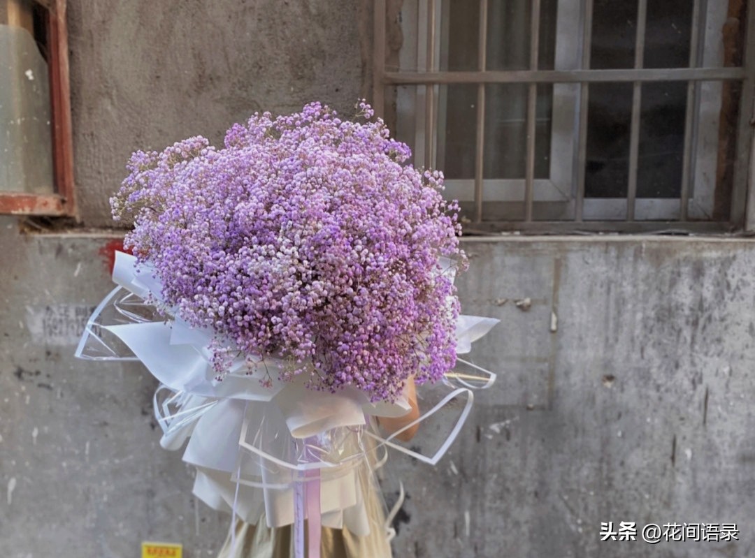 男子送四川女友巨型玫瑰花,小伙送玫瑰花给女友