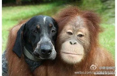 搞笑闺蜜有了男朋友日常,一群闺蜜搞笑段子最火视频