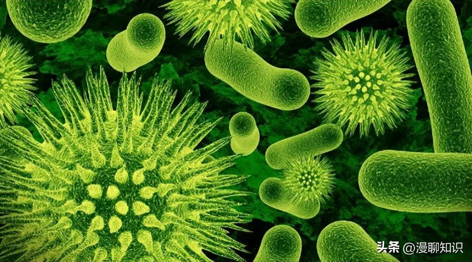 妇阴康洗剂的用途,妇阴康洗剂是抗生素药吗