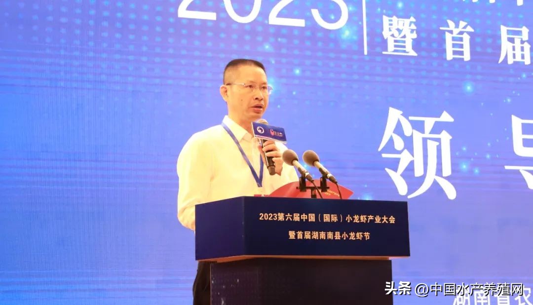 2023年南县小龙虾价格行情,南县小龙虾价格报价