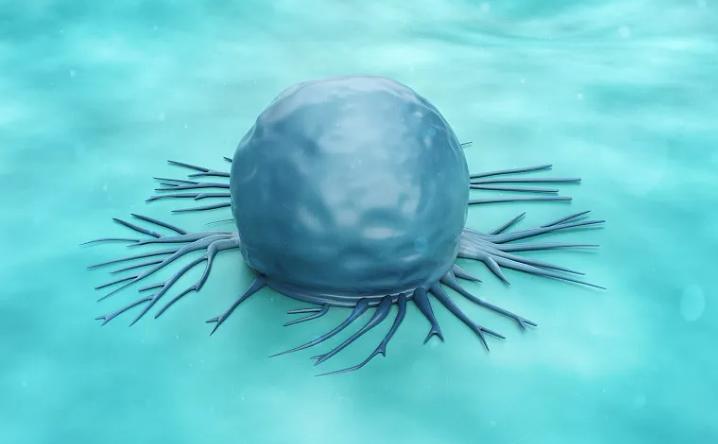 50岁后有必要每天补充叶酸吗,50岁以后叶酸需要长期吃吗