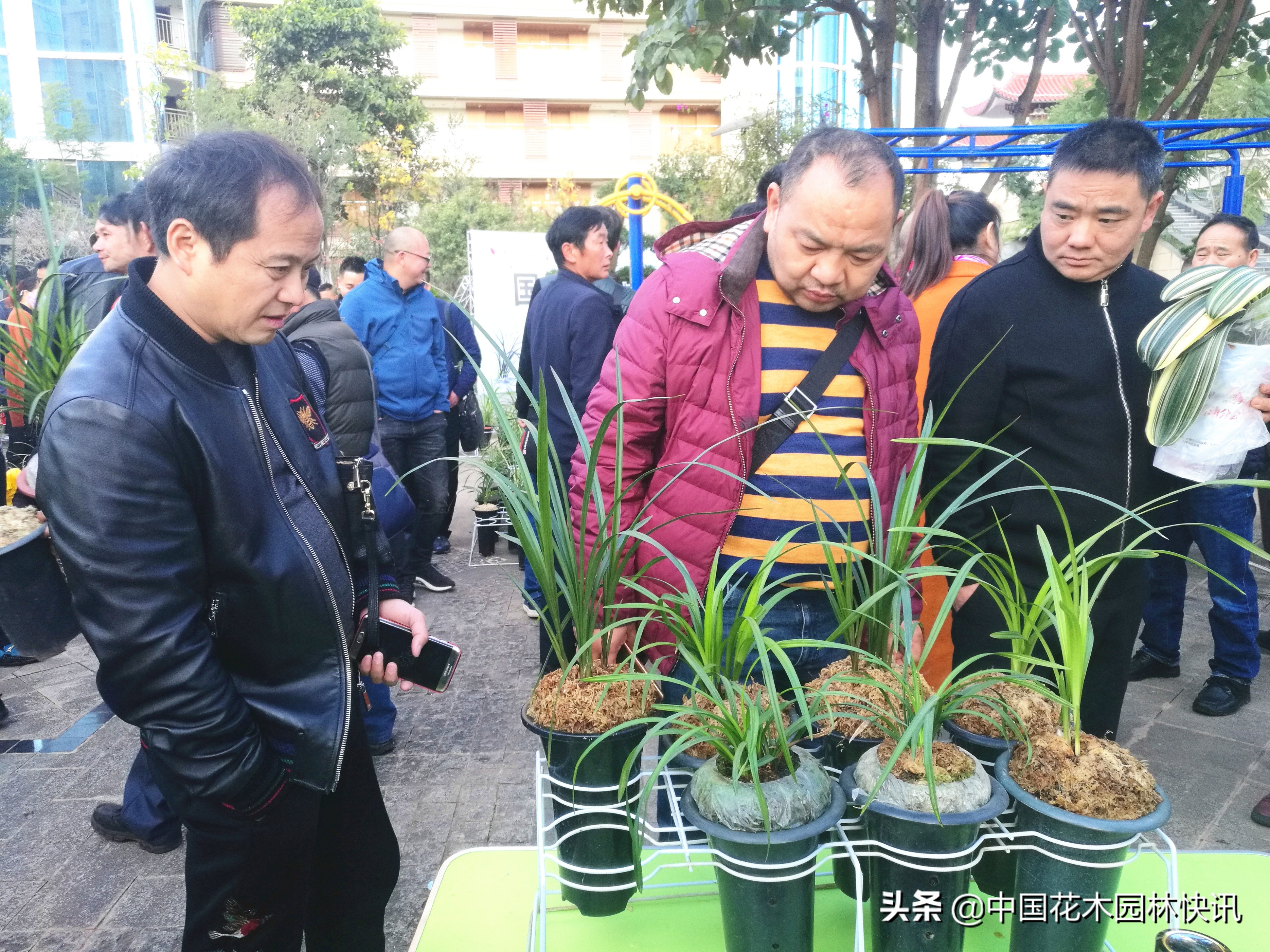 浜戝崡鍏拌姳浜т笟瑙勬ā,浜戝崡澶х悊鍏拌姳浜т笟瑙勬ā