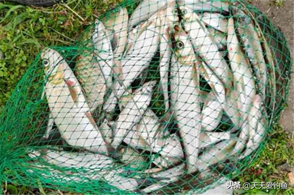 野钓急流水的最好钓法图解,钓鱼技巧传统钓法图解大全