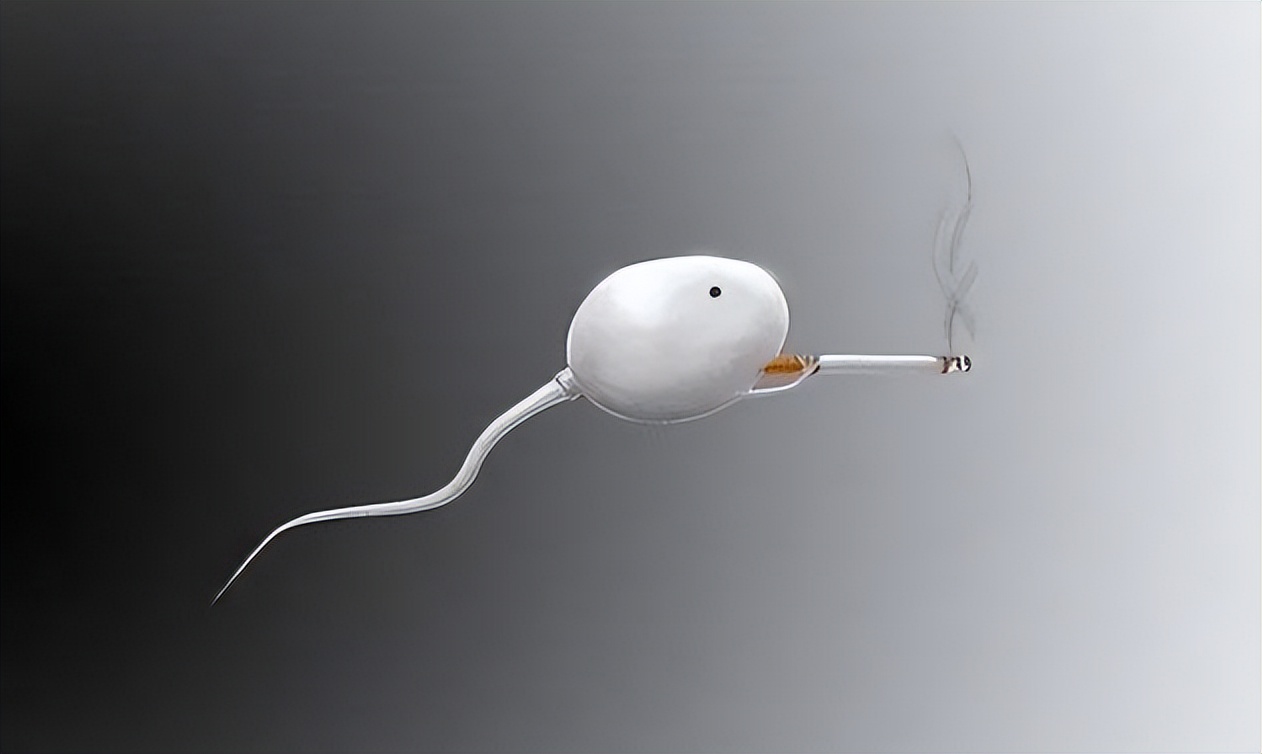 进入女性体内，没成功“受精”的精子都去了哪？这篇文章说清楚了