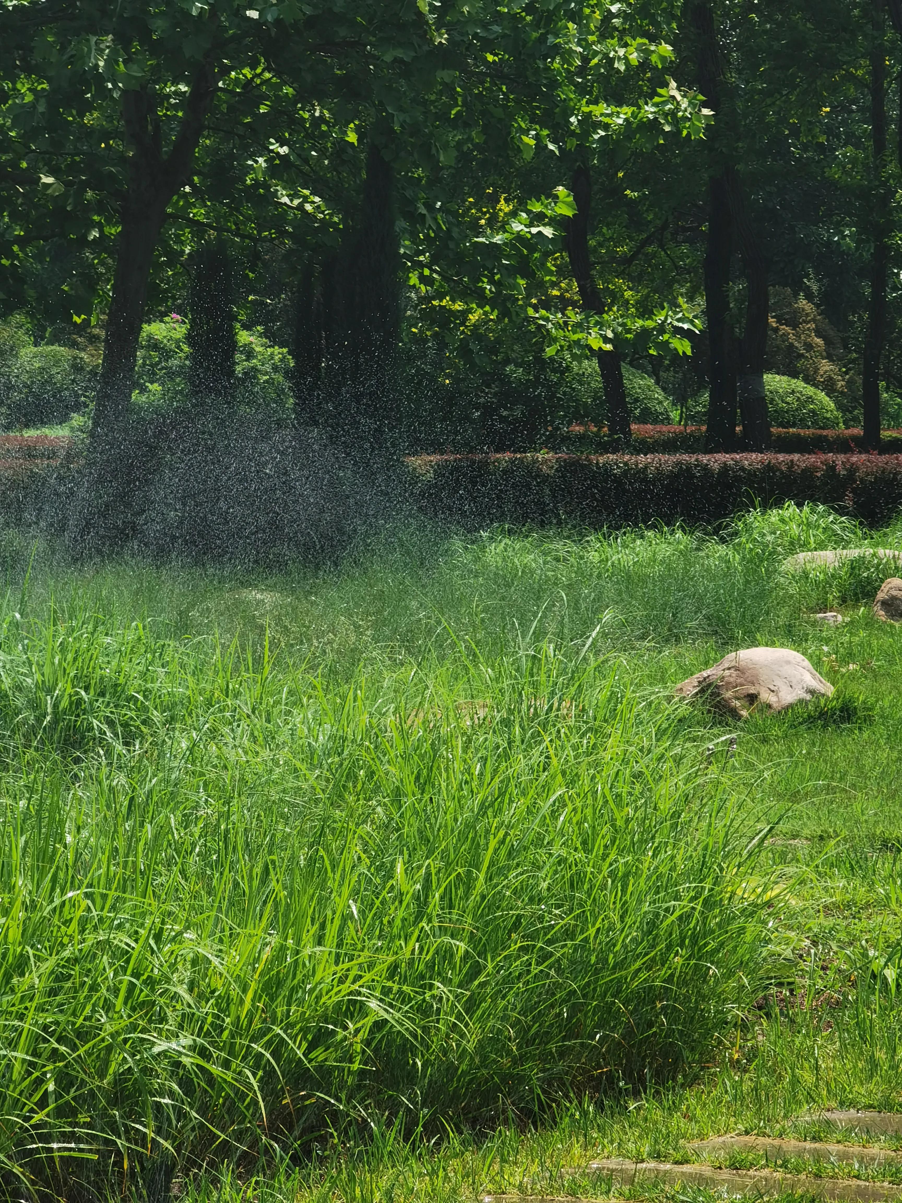 生活日记家的味道,生活札记300字