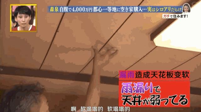日本林志玲,从模特变包工头!砸4000W买破房,又花500W拆了重装