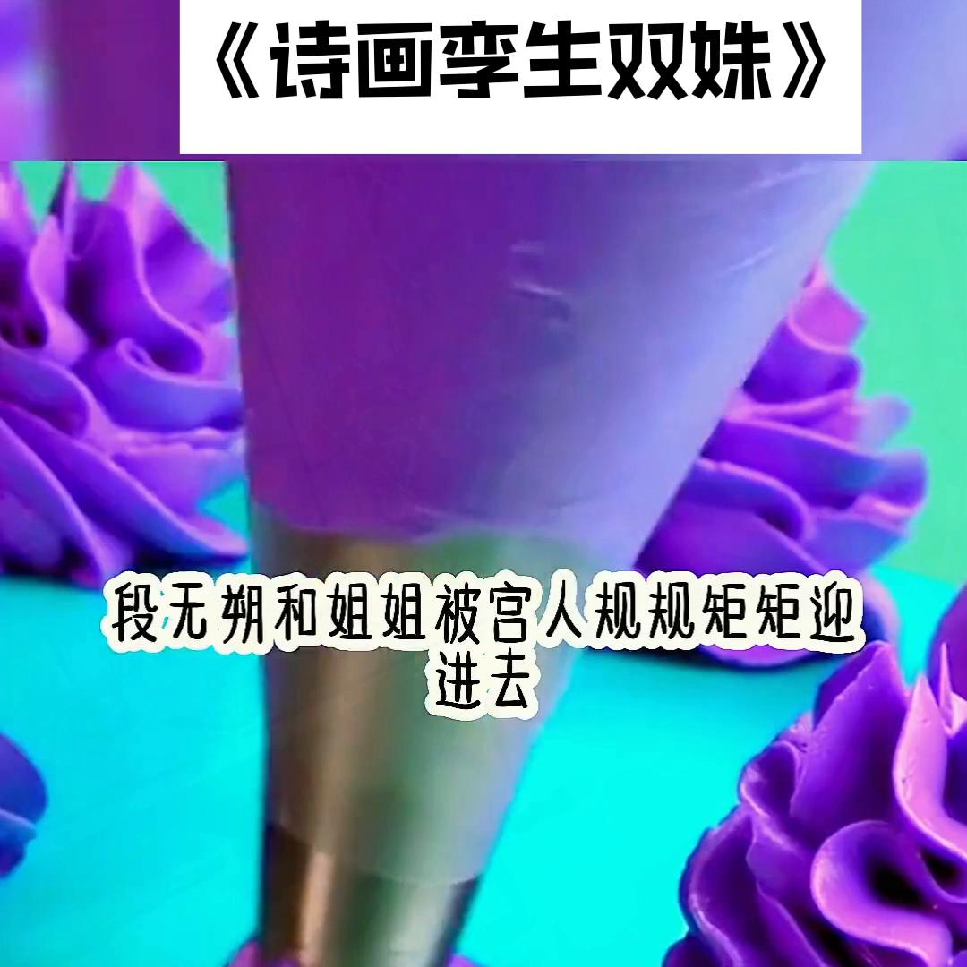 📖《诗画孪生双姝》👈#每日推文小说