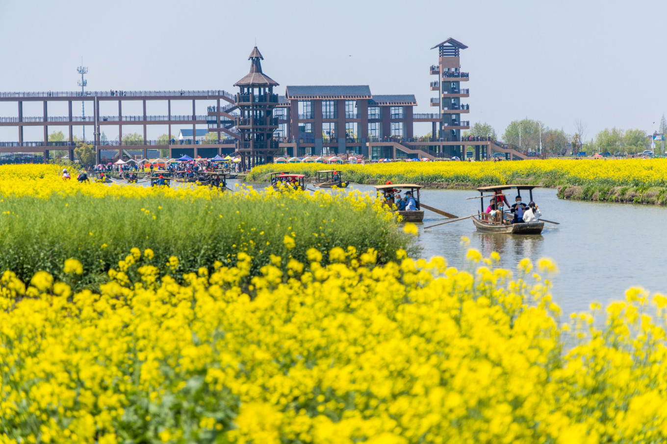 春日下江南杭州,泰州一日游攻略美食