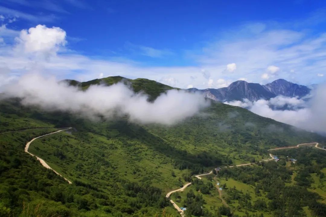 丝路印象之旅,美丽陇南陇蜀之城