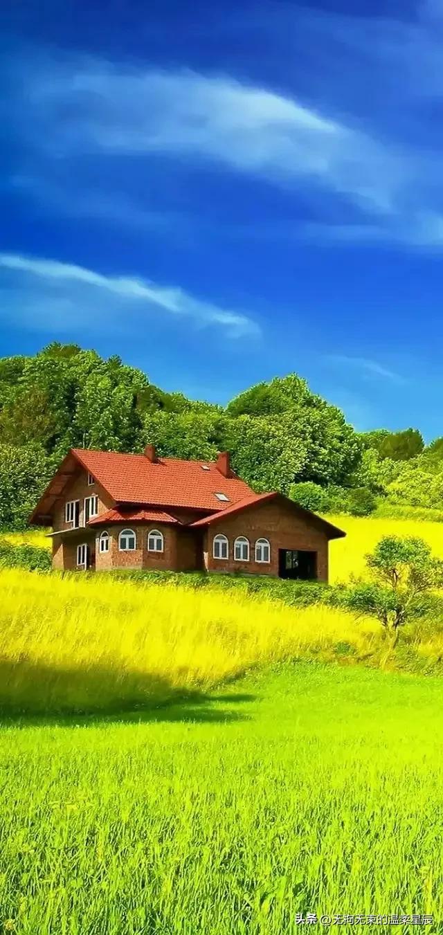 人与人之间信任是怎么消失的,人与人的信任正在渐渐消失