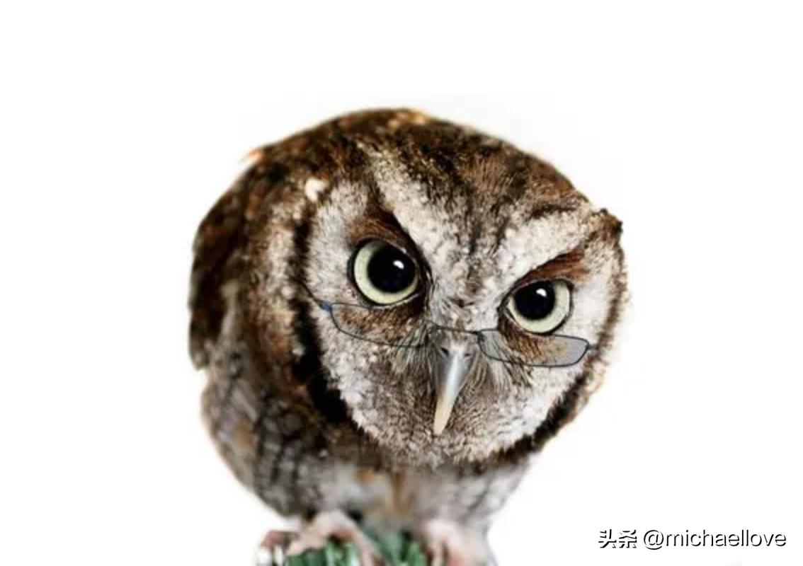 一句话概括智慧女神雅典娜,智慧女神雅典娜的优美词汇