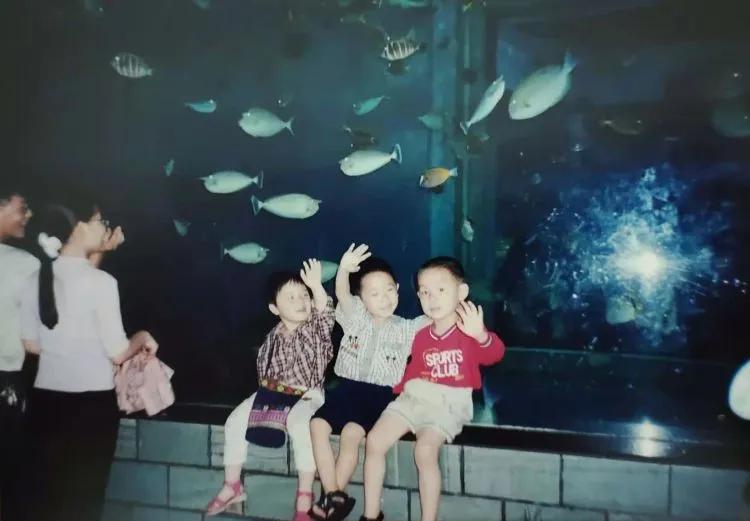 深圳小梅沙和海洋世界,深圳小梅沙海洋世界10年前