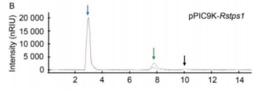 海藻糖代谢,海藻糖对植物抗逆性的作用