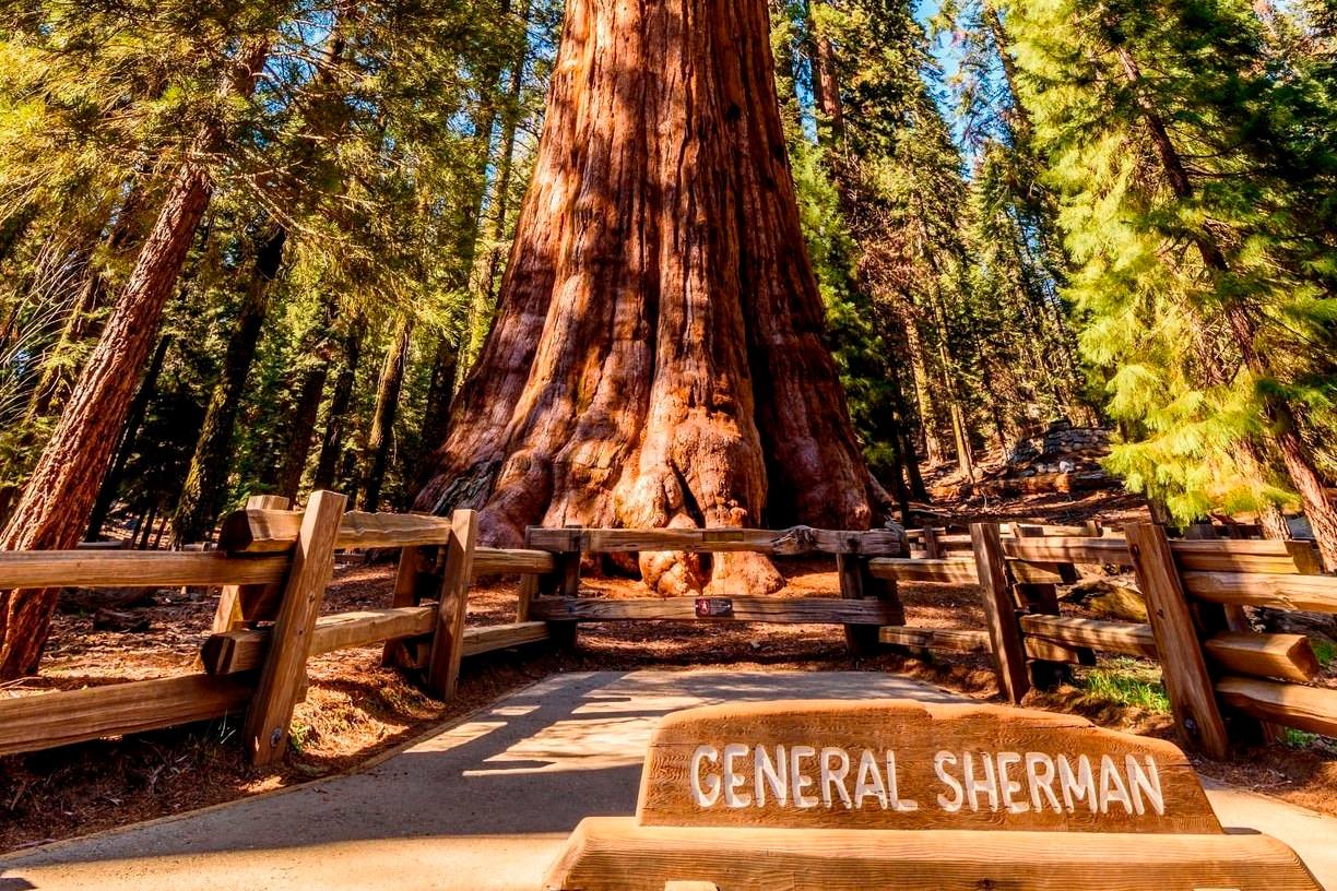 世界最震撼的二十个自然奇观,世界上超震撼的20个自然景观下集