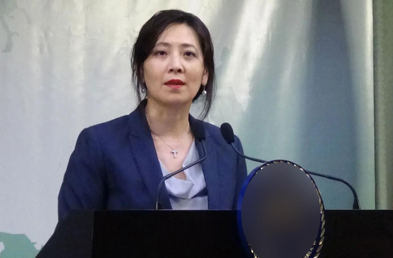 台网友办签证懵了,选项不仅没“台湾”,连“中华台北”也没了