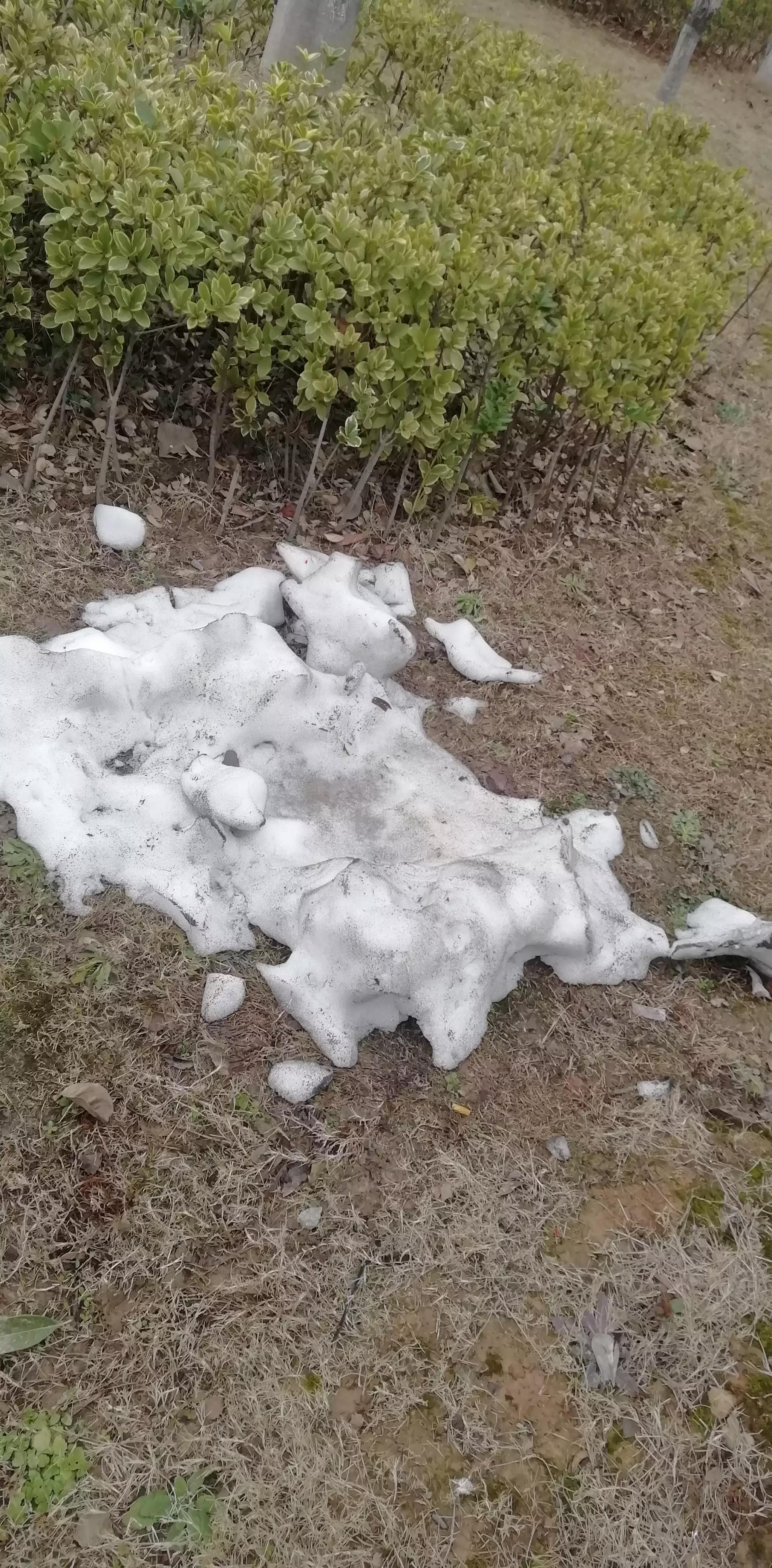 请投友们评论拍摄的怎么样？