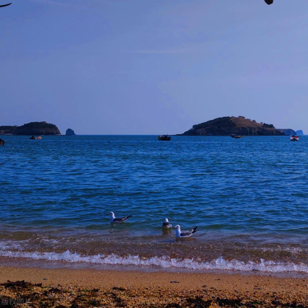 大连最值得去的八大风景图片,大连能看海的地方都有哪些