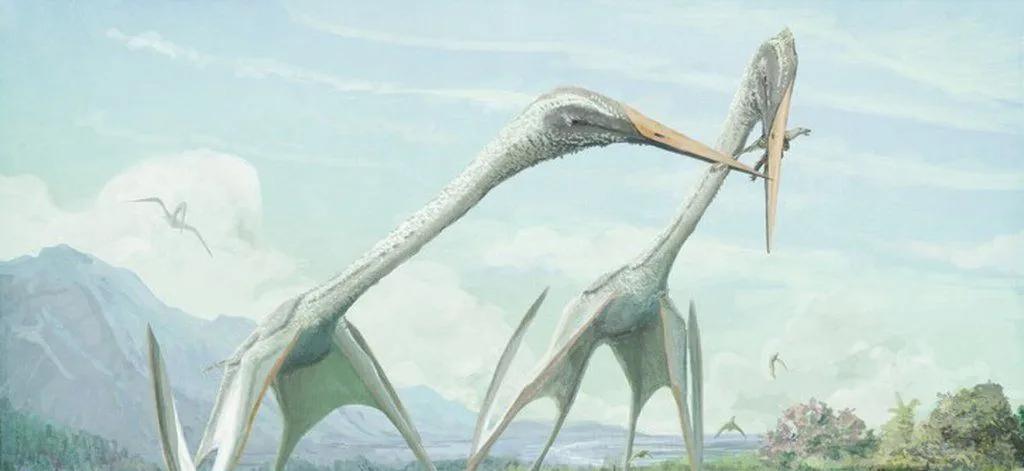 苏格兰巨人化石,苏格兰镰虫化石