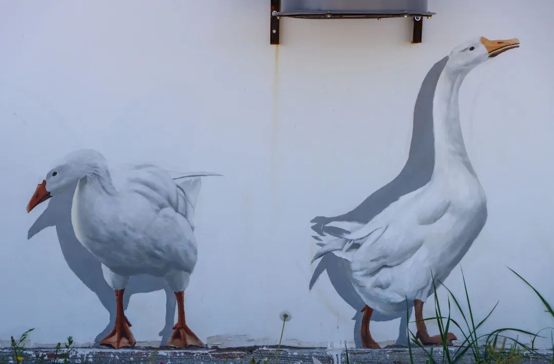 锡林郭勒十大网红打卡地,锡林浩特市网红打卡博物馆