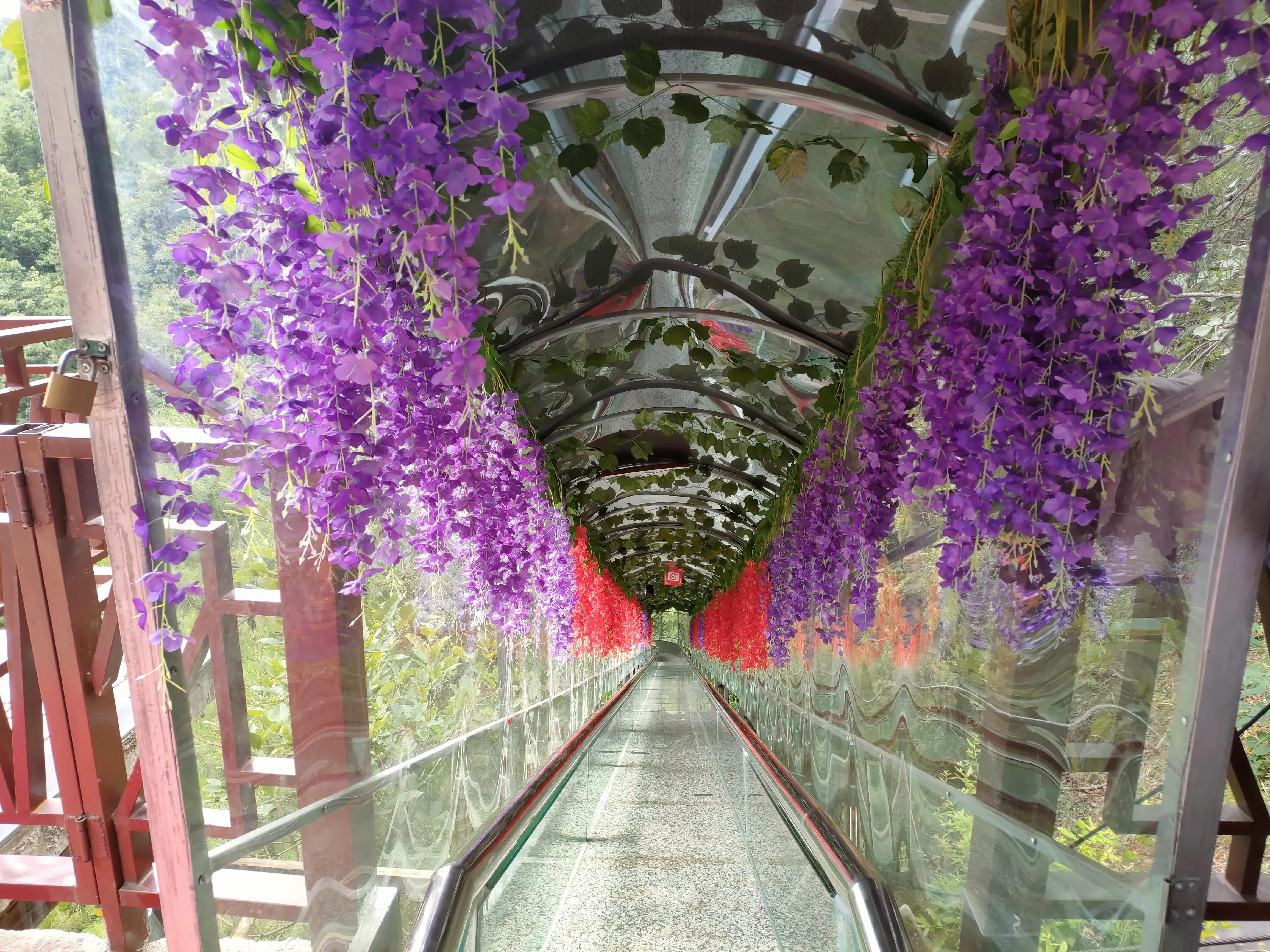 秦岭江山景区怎么样,秦岭江山景区最新通知