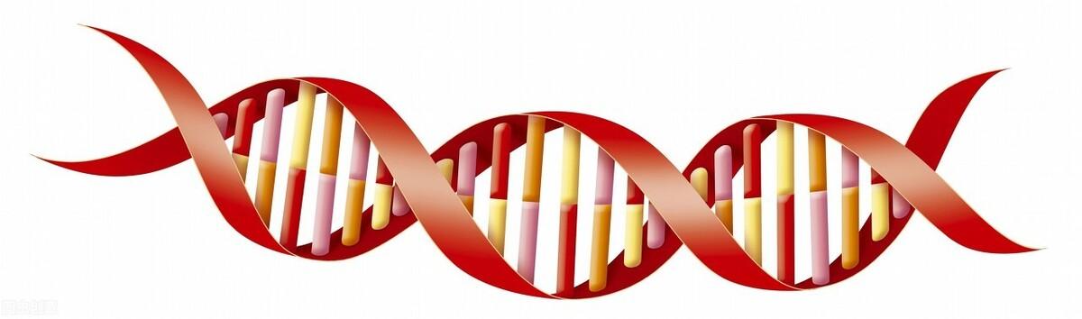 影响世界十大科学人物,影响世界的10位科学家牛顿