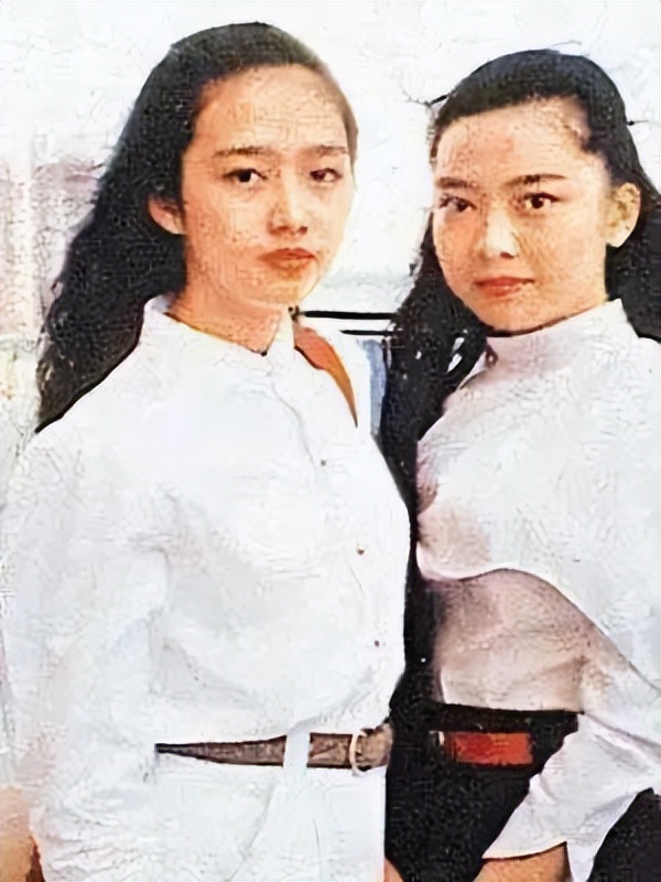 朱丽倩刘德华生了几个孩子,朱丽倩为刘德华生了几个孩子