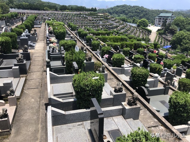 清明节习俗日记10字左右,清明节习俗简短100字