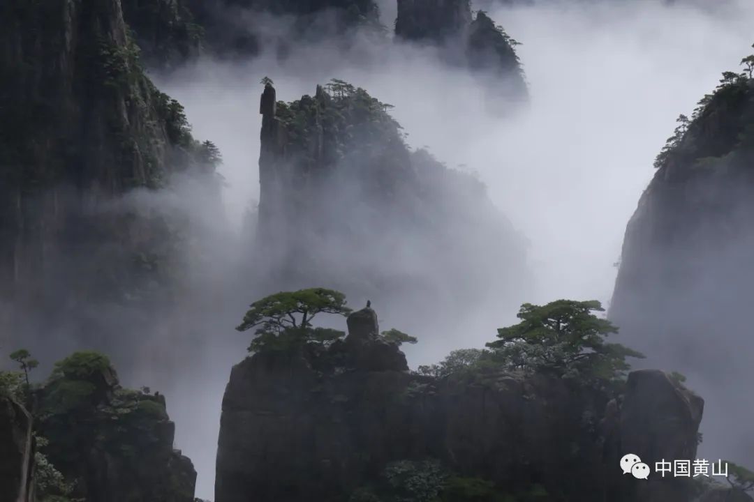 歙县记者节,记者采访风景视频素材